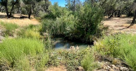 Darby Rd, Bangor, CA 95914 Photo