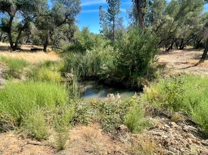 Darby Rd, Bangor, CA 95914 Photo