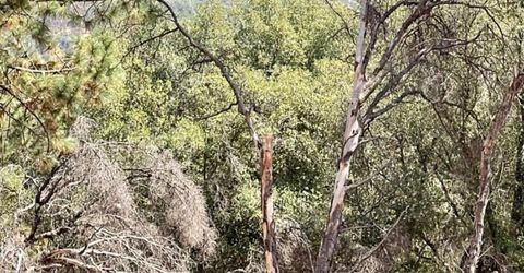 Darby Rd, Bangor, CA 95914 Photo