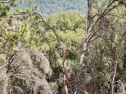 Darby Rd, Bangor, CA 95914 Photo