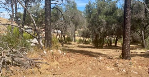 Darby Rd, Bangor, CA 95914 Photo