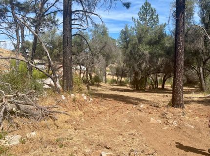 Darby Rd, Bangor, CA 95914 Photo