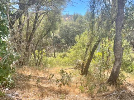 Darby Rd, Bangor, CA 95914 Photo