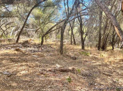 Darby Rd, Bangor, CA 95914 Photo