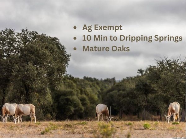 LOT 1 Legacy Hills, Johnson City, TX 78636