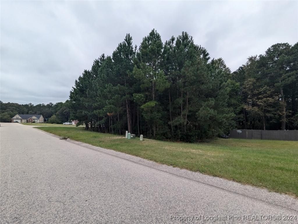 Tbd 282 Falling Leaf Drive, Raeford, NC 28376 Main Photo