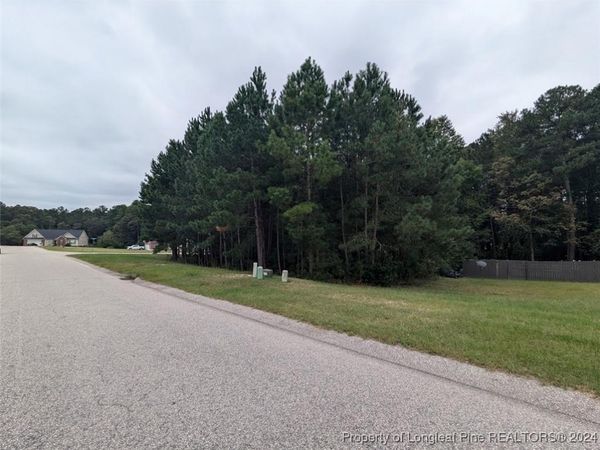 TBD 282 Falling Leaf Drive, Raeford, NC 28376