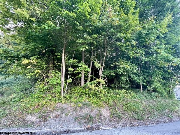 Parcel 312 Lorentz Avenue, Morgantown, WV 26505