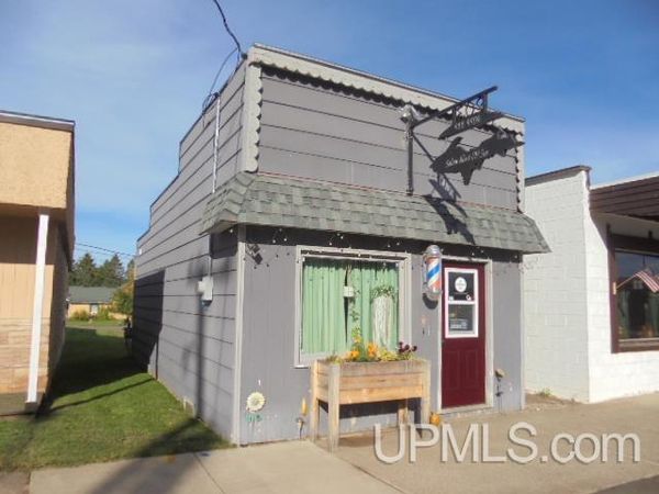 203 S Cedar Street, McMillan Twp, MI 49925