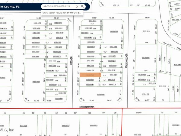 0 UNASSIGNED LOCATION Drive, Interlachen, FL 32148
