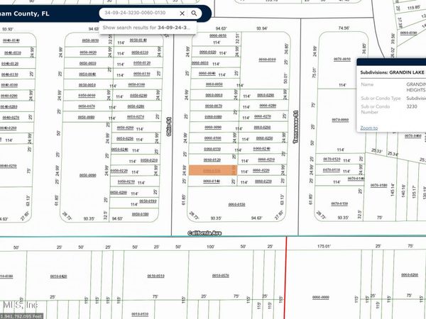 0 UNASSIGNED LOCATION Drive, Interlachen, FL 32148