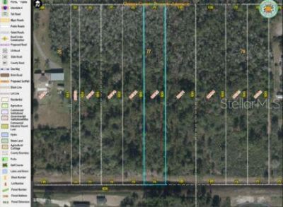 Paddock Street, Orlando, FL 32833 Photo