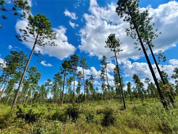 0 Shepard House Road, Mount Vernon, AL 36560