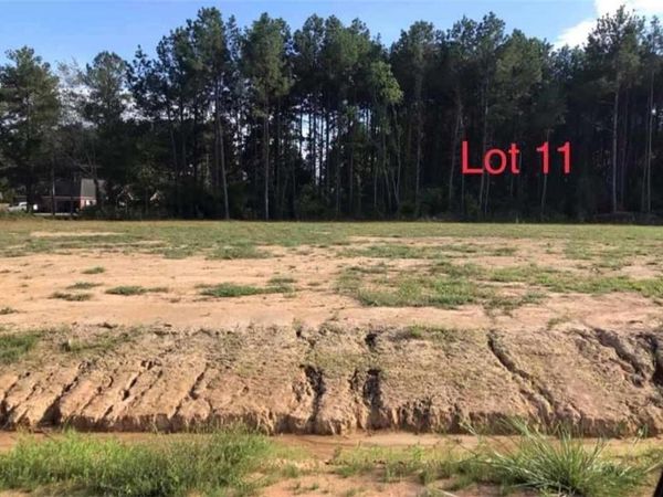 LOT 11 THEO Drive, Deville, LA 71328