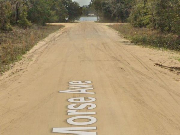 TBD Morse Ave, Interlachen, FL 32148