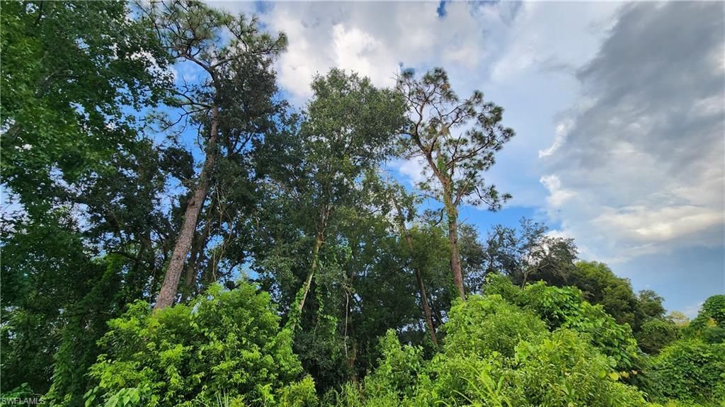 2201 S Goldenrod Rd, Orlando, FL 32822 Photo