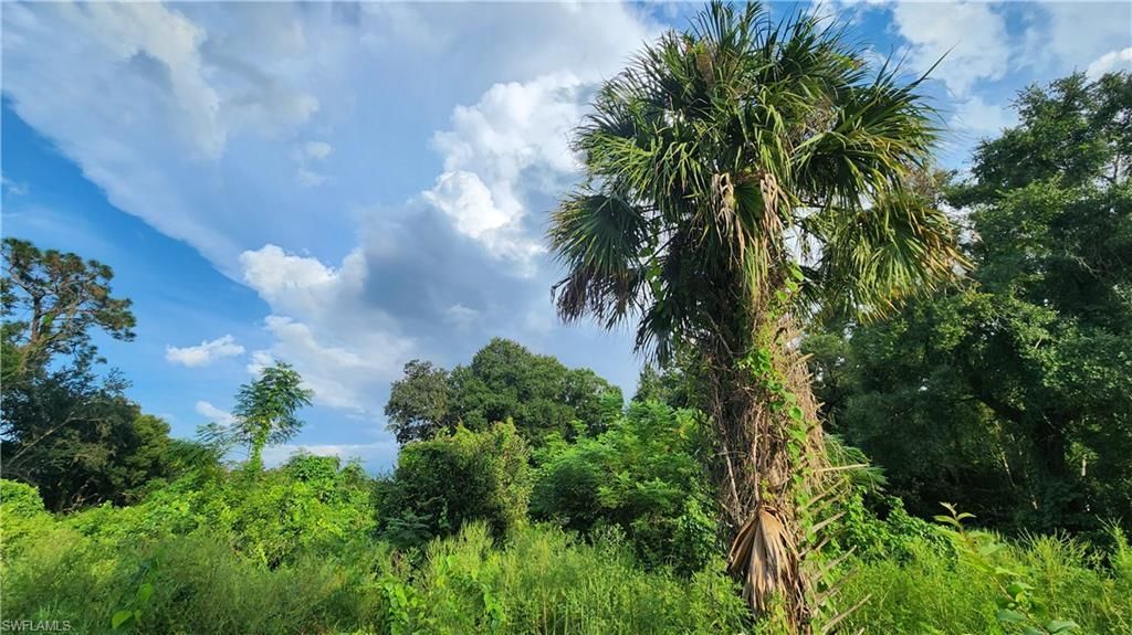 2201 S Goldenrod Rd, Orlando, FL 32822 Photo