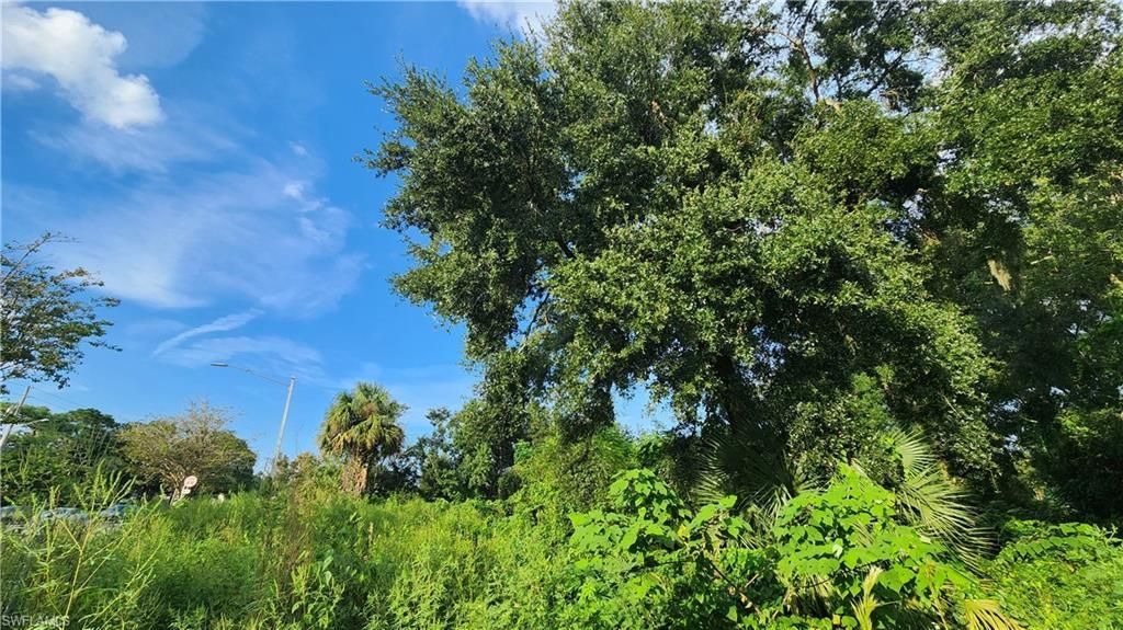 2201 S Goldenrod Rd, Orlando, FL 32822 Photo