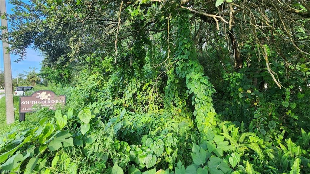 2201 S Goldenrod Rd, Orlando, FL 32822 Photo