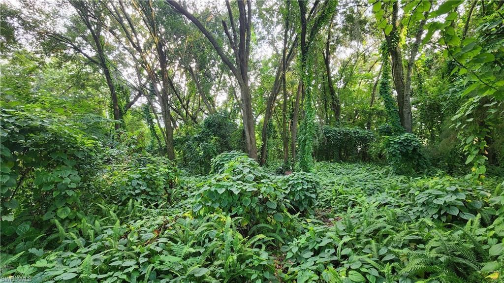 2201 S Goldenrod Rd, Orlando, FL 32822 Photo