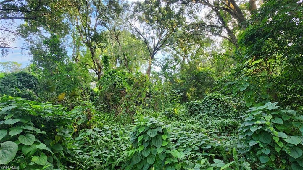 2201 S Goldenrod Rd, Orlando, FL 32822 Photo