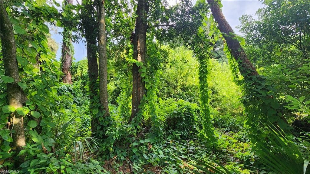 2201 S Goldenrod Rd, Orlando, FL 32822 Photo