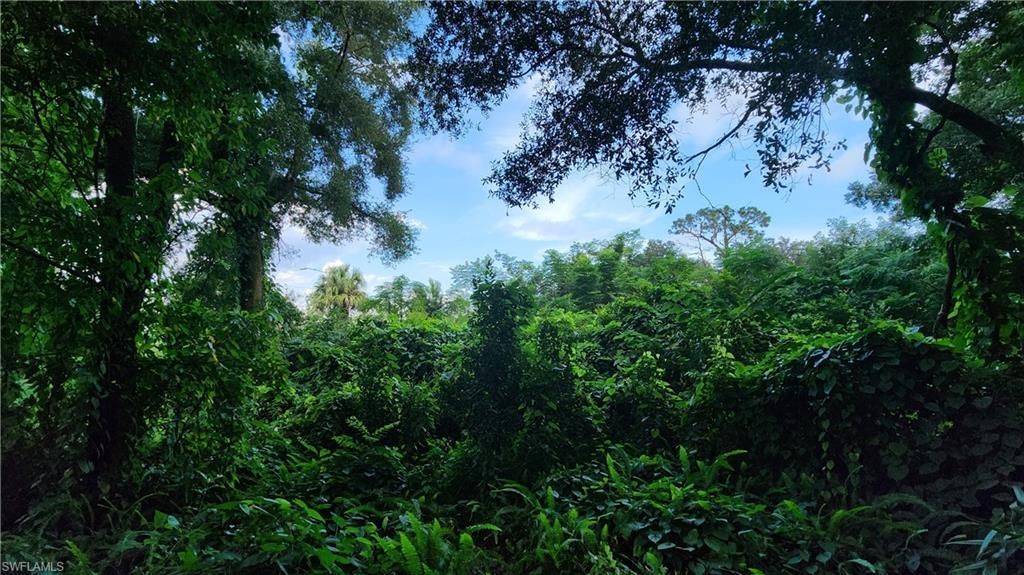 2201 S Goldenrod Rd, Orlando, FL 32822 Photo