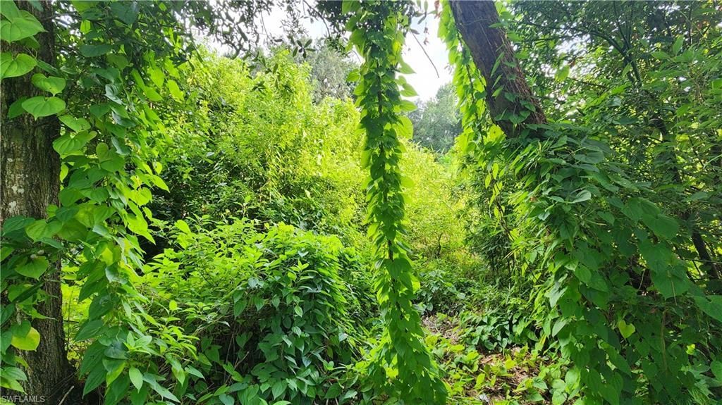 2201 S Goldenrod Rd, Orlando, FL 32822 Photo