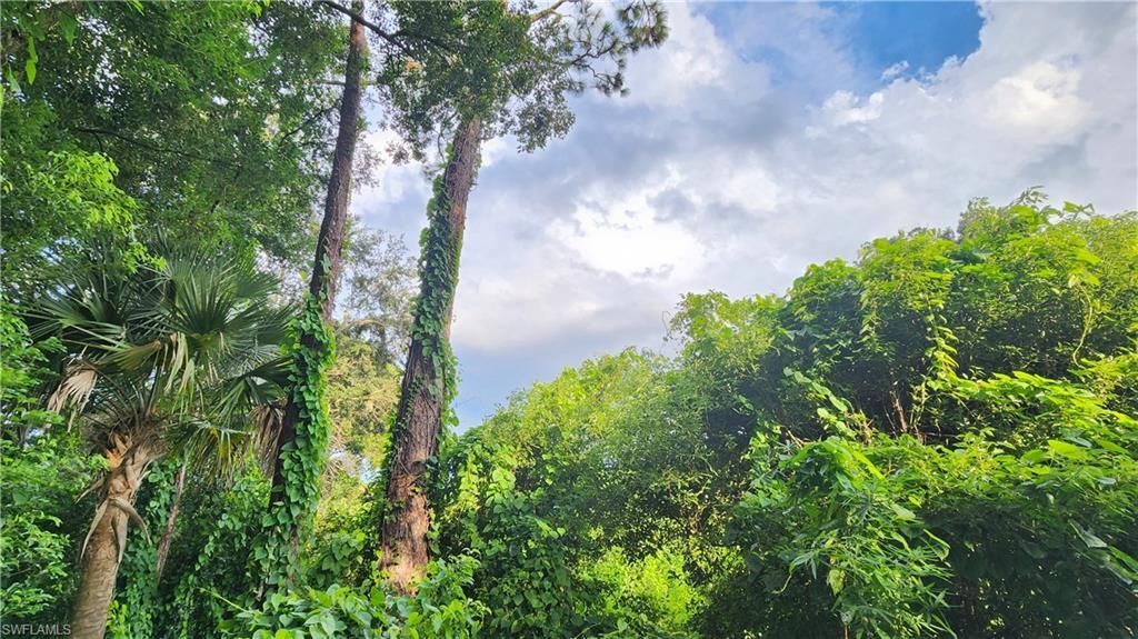 2201 S Goldenrod Rd, Orlando, FL 32822 Photo