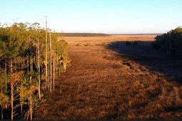 1467 Alligator Creek Court photo 4