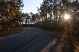 1467 Alligator Creek Court photo 4