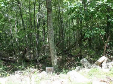 TBD HIGH VALLEY SOUTH, Unit 75, MONTEREY, VA 24465