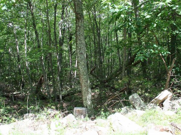 TBD HIGH VALLEY SOUTH, Unit 75, MONTEREY, VA 24465