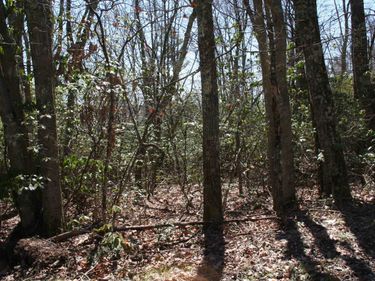 TBD Summit Dr. N SUMMIT DR, Unit 86, MONTEREY, VA 24465