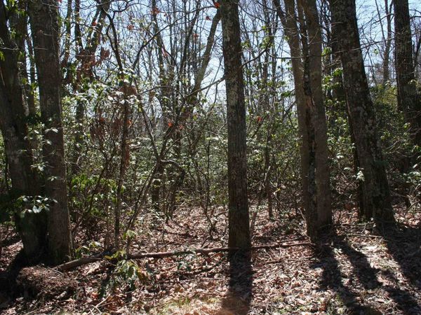 TBD Summit Dr. N SUMMIT DR, Unit 86, MONTEREY, VA 24465