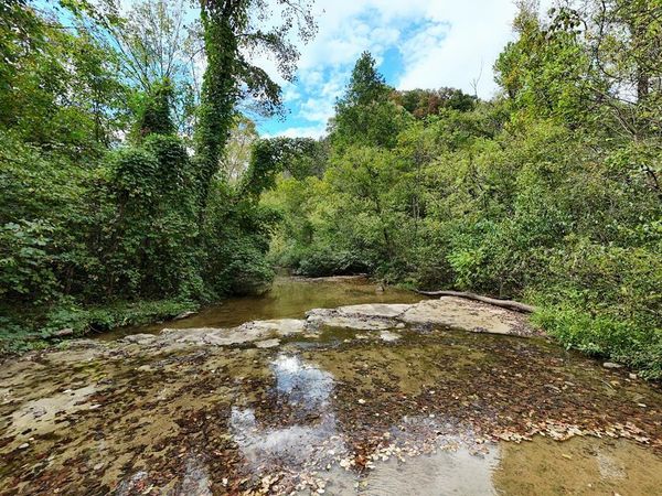 5154 Dry Mill Creek, Hilham, TN 38568