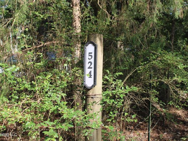 524 Davis Crossing Road, Canton, MS 39046
