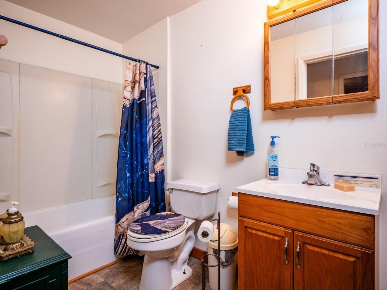 24750 NE 177th Terrace, Fort Mc Coy, FL 32134 Photo