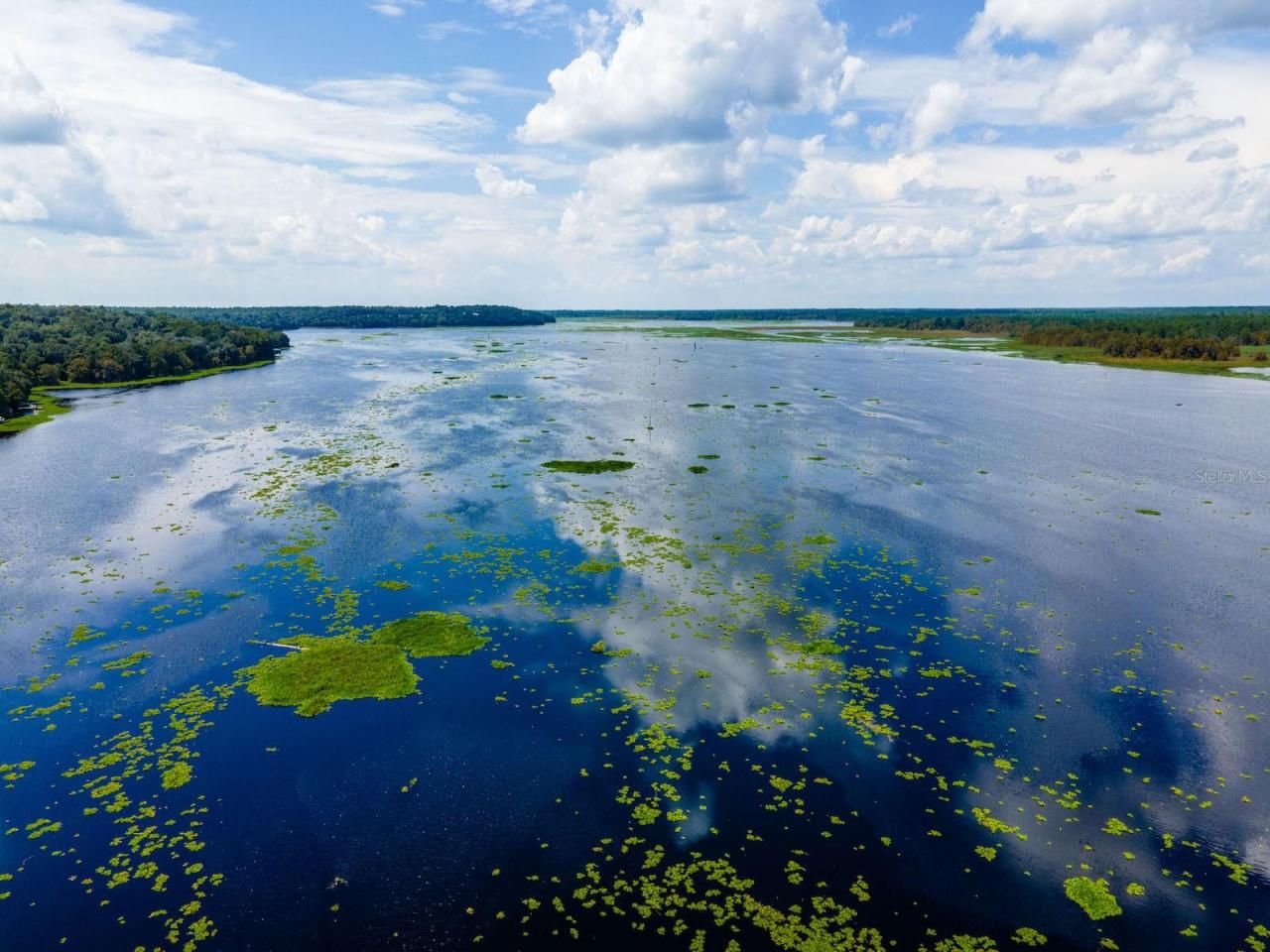 24750 NE 177th Terrace, Fort Mc Coy, FL 32134 Photo