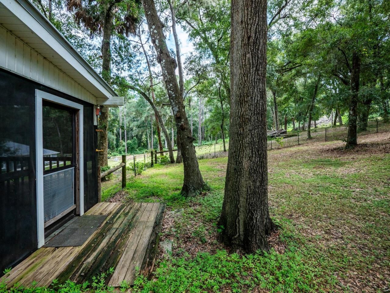 24750 NE 177th Terrace, Fort Mc Coy, FL 32134 Photo