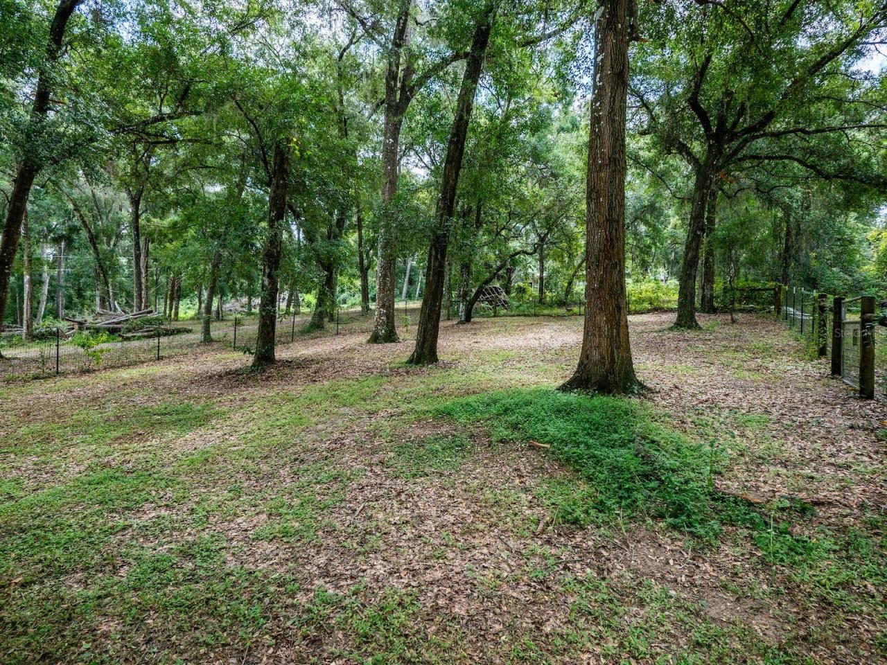 24750 NE 177th Terrace, Fort Mc Coy, FL 32134 Photo