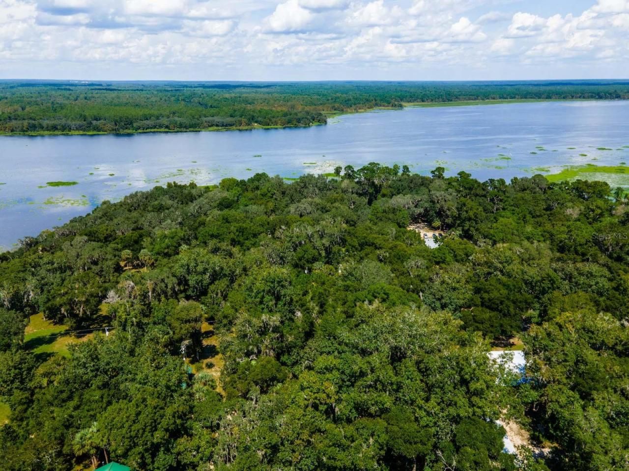 24750 NE 177th Terrace, Fort Mc Coy, FL 32134 Photo