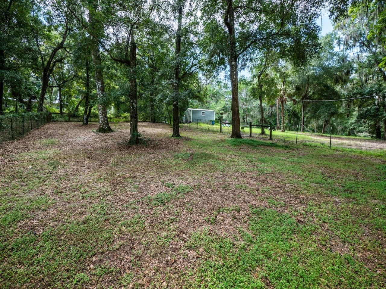 24750 NE 177th Terrace, Fort Mc Coy, FL 32134 Photo
