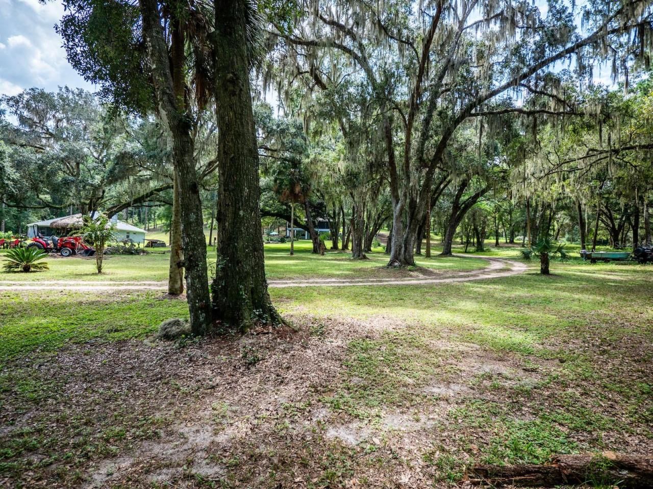 24750 NE 177th Terrace, Fort Mc Coy, FL 32134 Photo