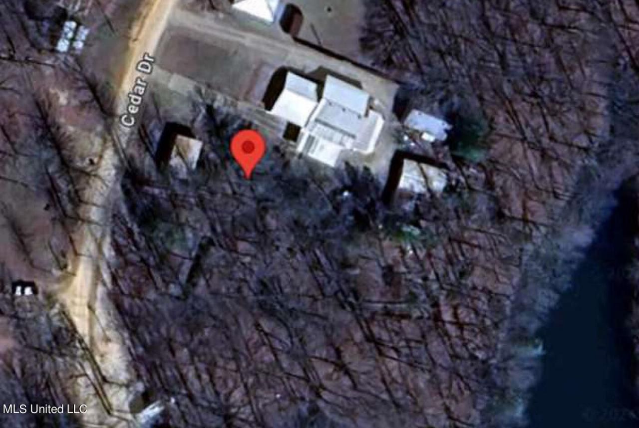 Cedar Drive, Pope, MS 38658 Main Photo
