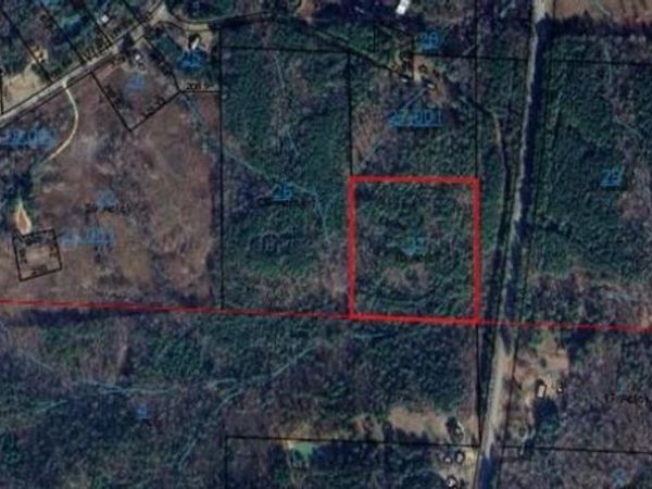 COUNTY ROAD 13, Lynn, AL 35575