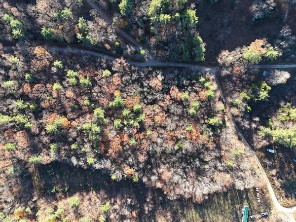 00 Whitney Road, Unit 132, Henniker, NH 03242