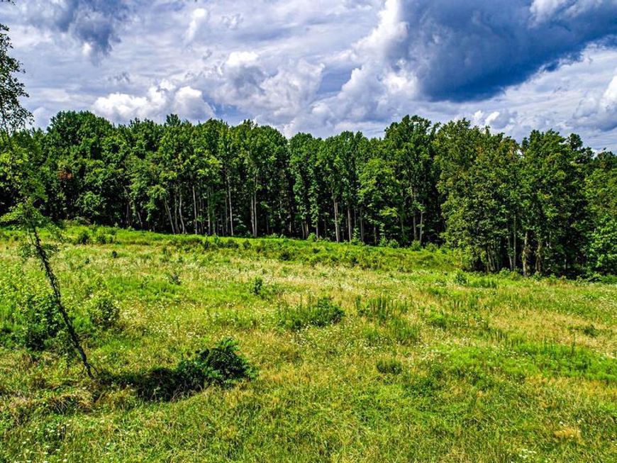 2912 Philadelphia Road, Abingdon, MD 21009 Main Photo