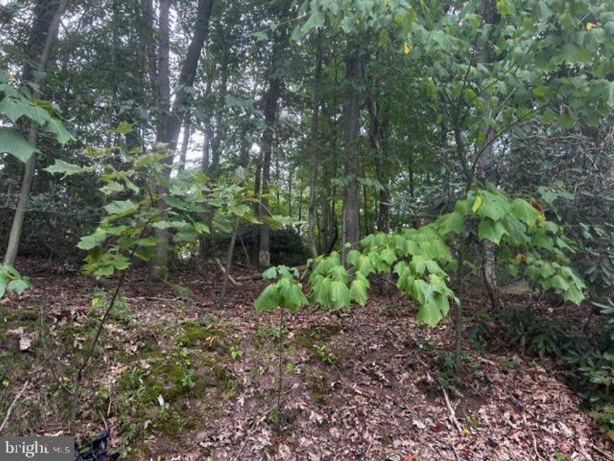 0 N Highland Drive, Pottsville, PA 17901 Main Photo