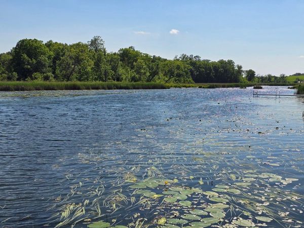 Tract N Blybergs Lane, Pelican Rapids, MN 56572